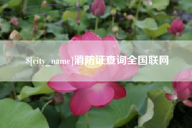 三亚消防证查询全国联网