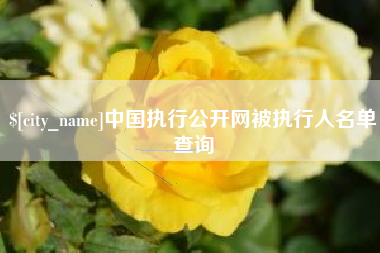 三亚中国执行公开网被执行人名单查询