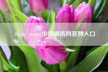 三亚中国消防网官网入口