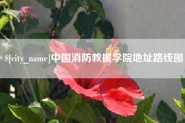 三亚中国消防救援学院地址路线图