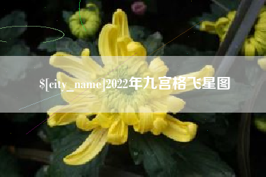 三亚2022年九宫格飞星图