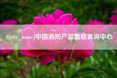 三亚中国消防产品信息查询中心
