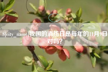 三亚我国的消防日是每年的11月9日对吗？