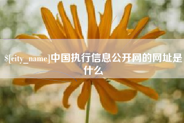 三亚中国执行信息公开网的网址是什么