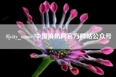 三亚中国消防网官方网站公众号