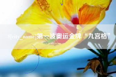 三亚第一波奥运金牌“九宫格”