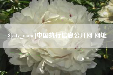 三亚中国执行信息公开网 网址