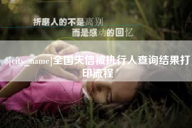 三亚全国失信被执行人查询结果打印流程