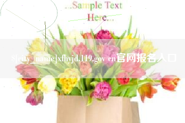 三亚xfhyjd.119.gov cn官网报名入口