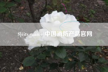 三亚中国消防产品官网