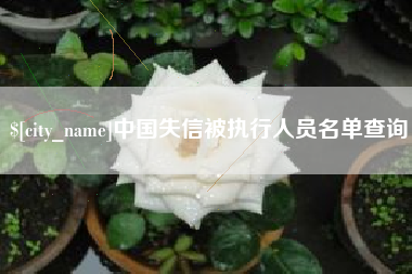 三亚中国失信被执行人员名单查询