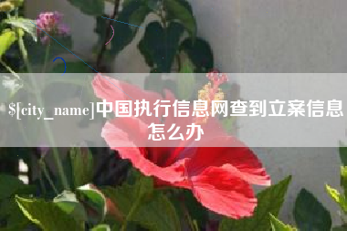三亚中国执行信息网查到立案信息怎么办