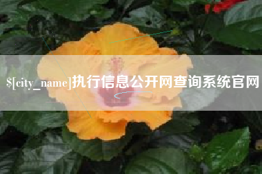 三亚执行信息公开网查询系统官网