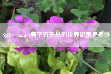 三亚男子五千米的世界纪录是多少