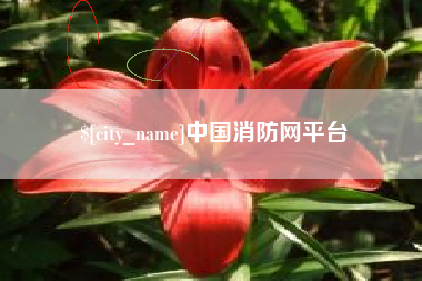 三亚中国消防网平台