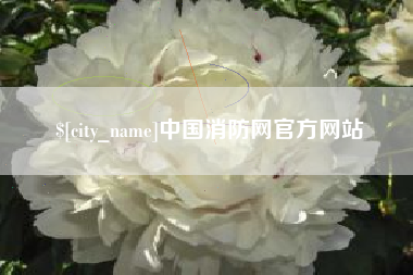 三亚中国消防网官方网站