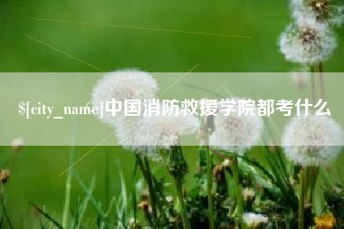 三亚中国消防救援学院都考什么