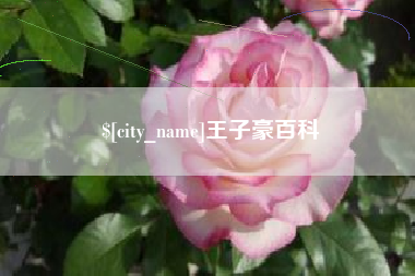三亚王子豪百科