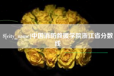 三亚中国消防救援学院浙江省分数线
