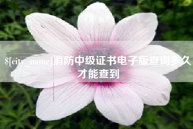 三亚消防中级证书电子版查询多久才能查到