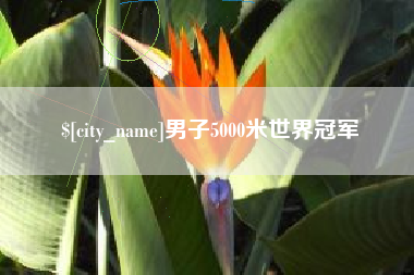 三亚男子5000米世界冠军
