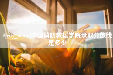 三亚中国消防救援学院录取分数线是多少