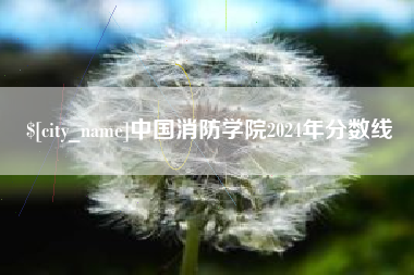 三亚中国消防学院2024年分数线