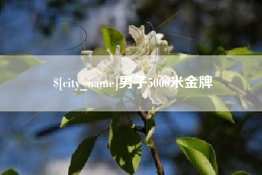 三亚男子5000米金牌