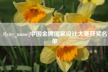 三亚中国金牌图案设计大赛获奖名单