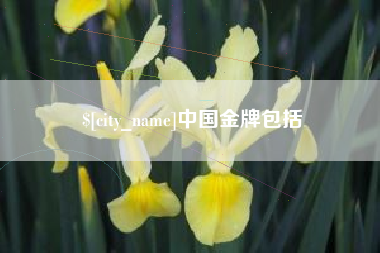 三亚中国金牌包括