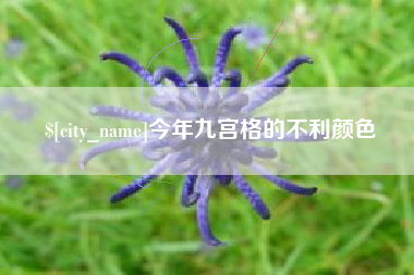 三亚今年九宫格的不利颜色