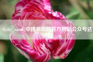 三亚中国消防网官方网站公众号达伦特