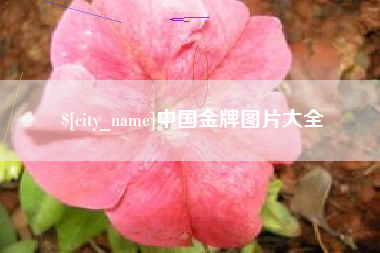 三亚中国金牌图片大全