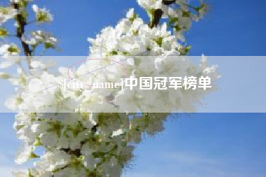 三亚中国冠军榜单