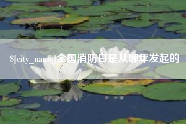 三亚全国消防日是从哪年发起的