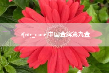 三亚中国金牌第九金