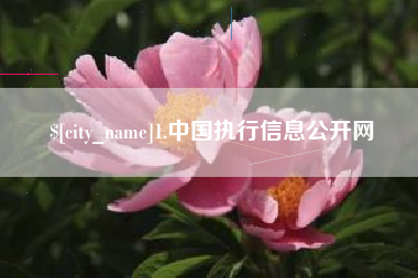 三亚1.中国执行信息公开网