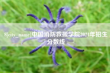 三亚中国消防救援学院2024年招生分数线