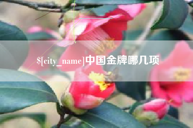 三亚中国金牌哪几项