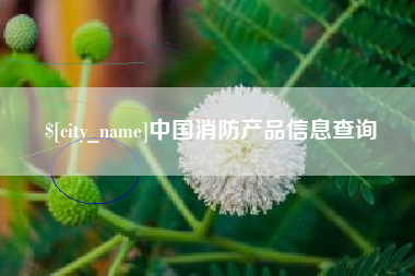 三亚中国消防产品信息查询