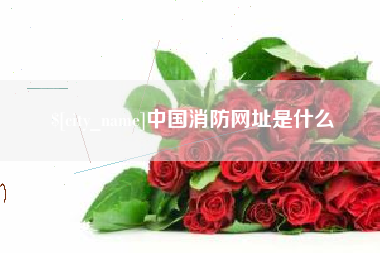 三亚中国消防网址是什么