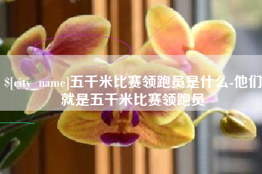 三亚五千米比赛领跑员是什么-他们就是五千米比赛领跑员