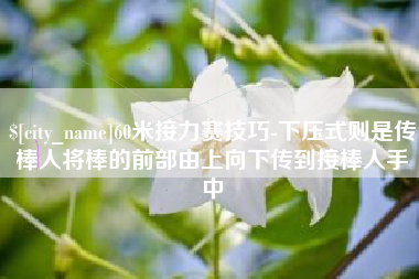 三亚60米接力赛技巧-下压式则是传棒人将棒的前部由上向下传到接棒人手中