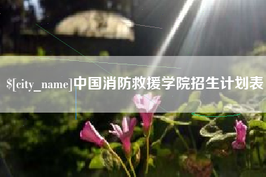 三亚中国消防救援学院招生计划表