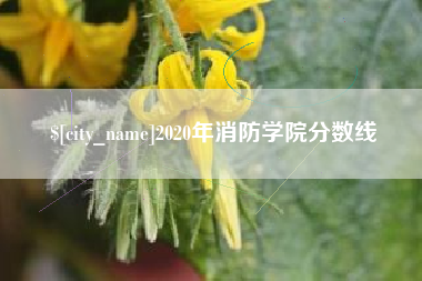 三亚2020年消防学院分数线