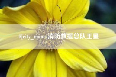 三亚消防救援总队王星