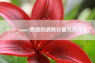 三亚我国的消防日是几月几号？