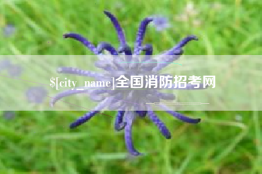 三亚全国消防招考网