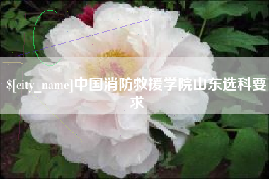 三亚中国消防救援学院山东选科要求