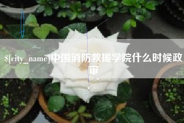 三亚中国消防救援学院什么时候政审